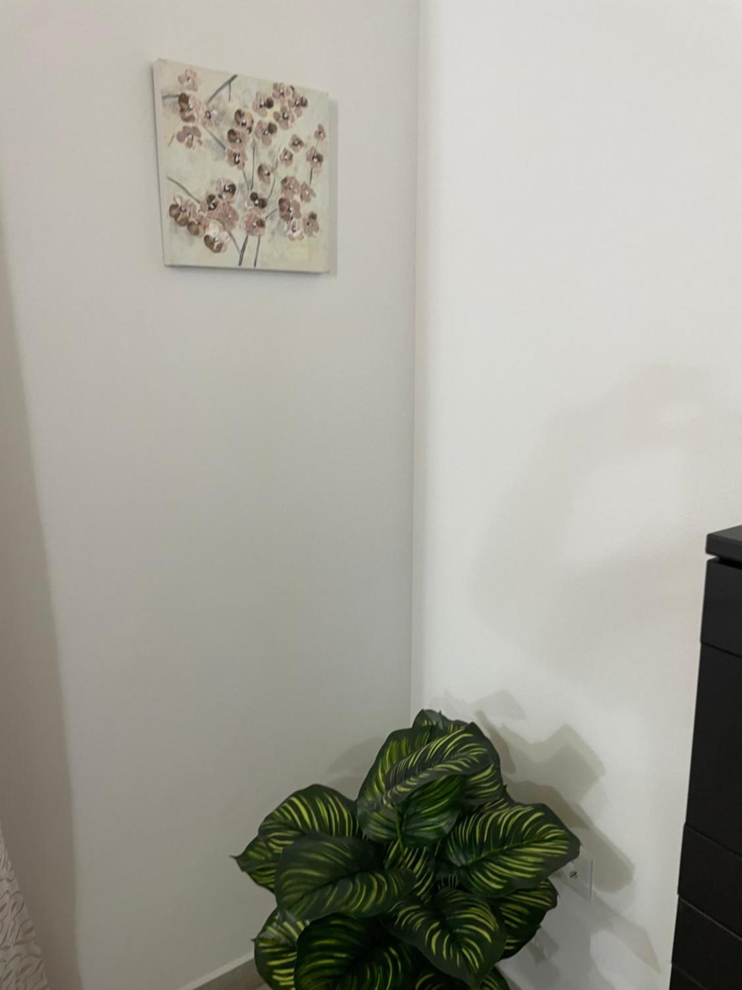 Casa Delia Lägenhet Bornos Exteriör bild