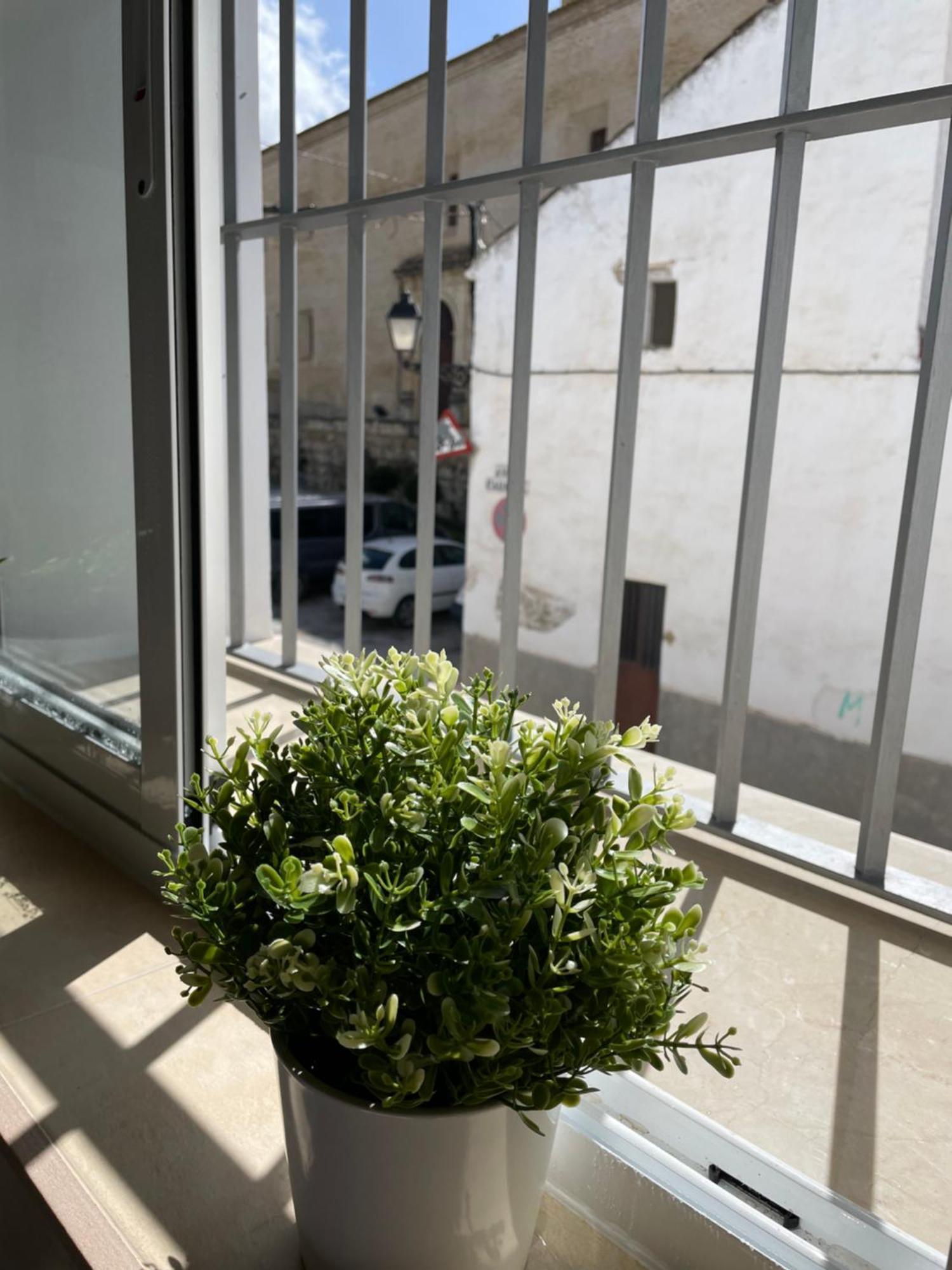 Casa Delia Lägenhet Bornos Exteriör bild